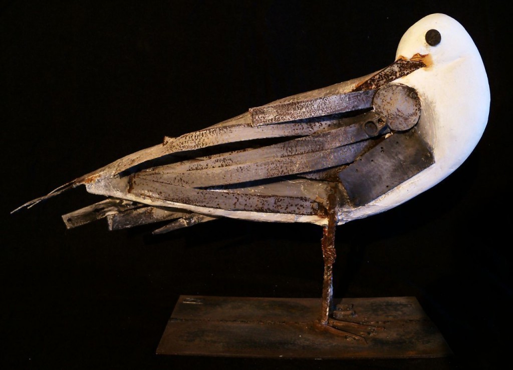 Gabbiano Becco tra le Ali