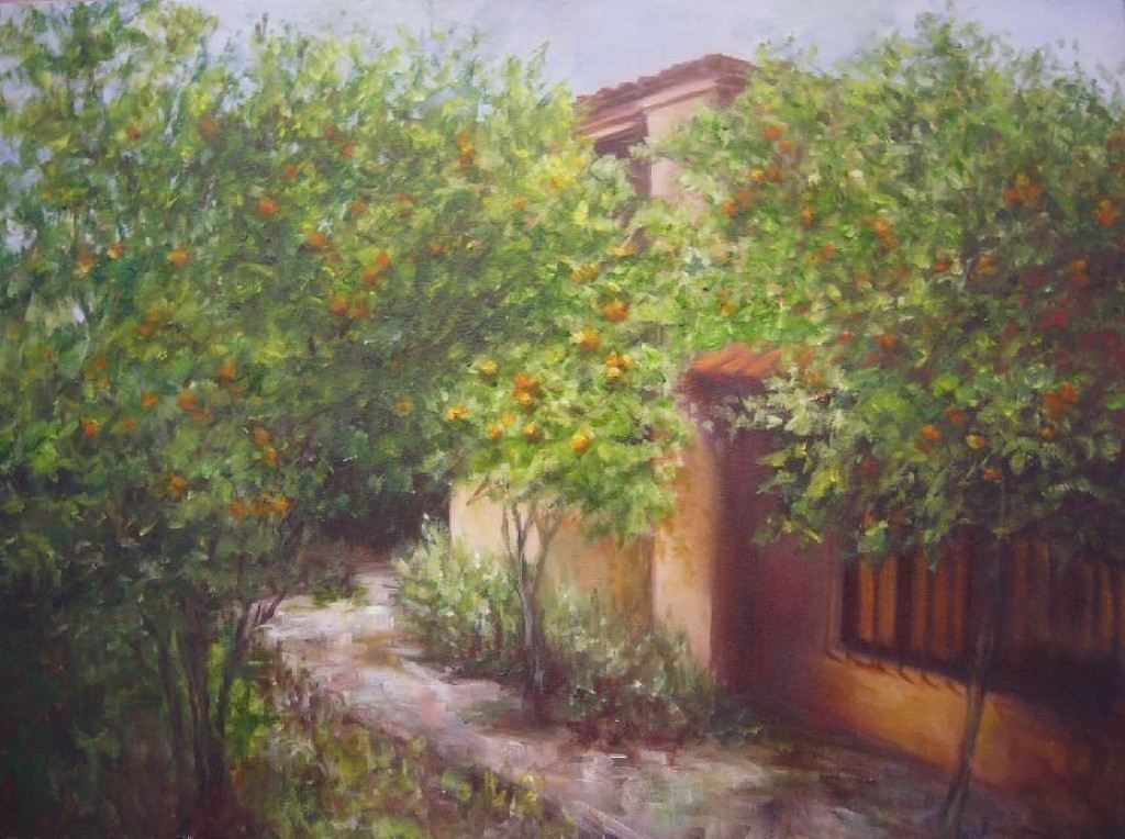 Gli aranci del patio di dietro