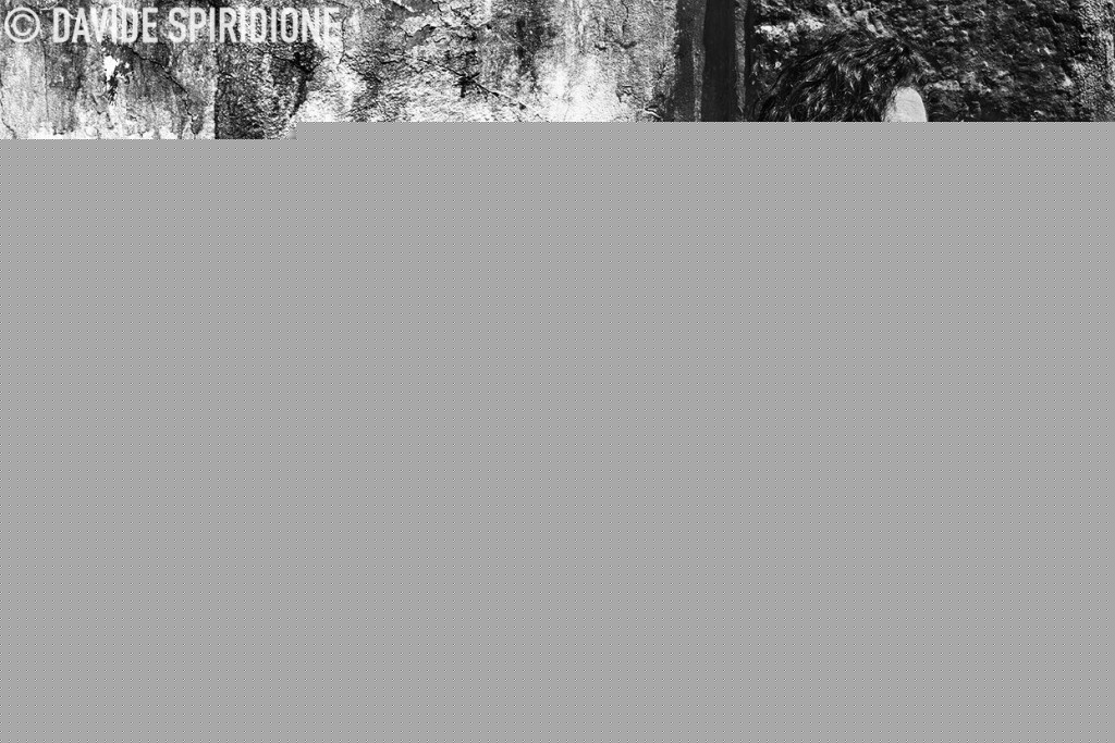 Davide Spiridione 09