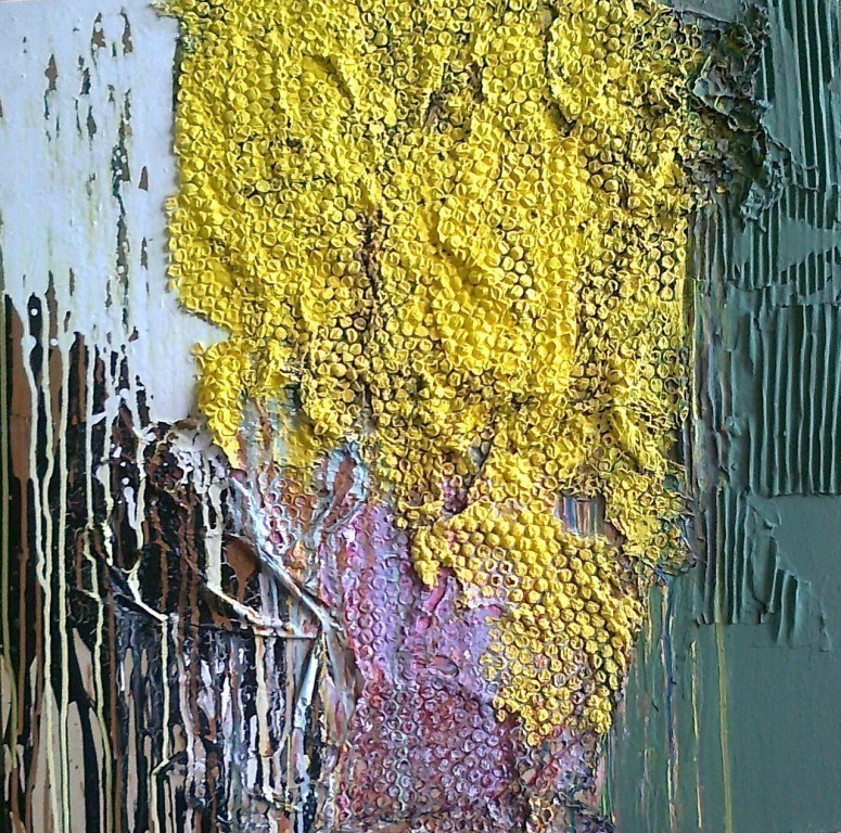 mimose in fiore 