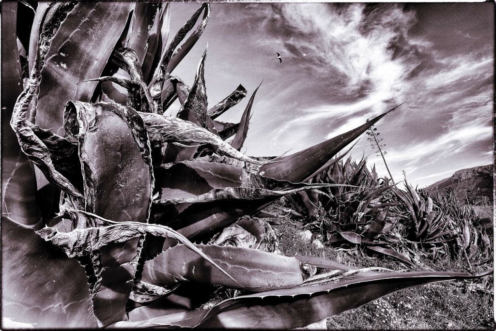 Back Where It All Begins