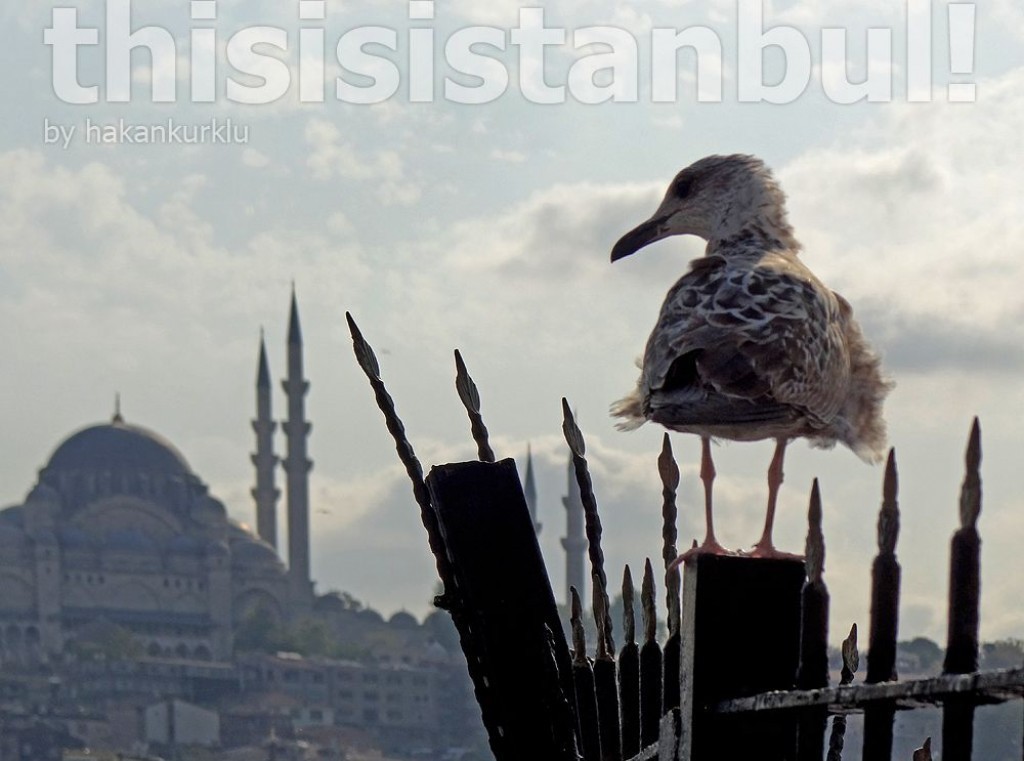 thisisistanbul 06