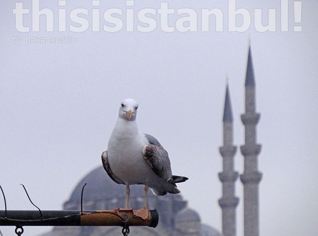 thisisistanbul 03