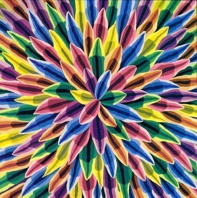 genesi formale di un fiore in boccio