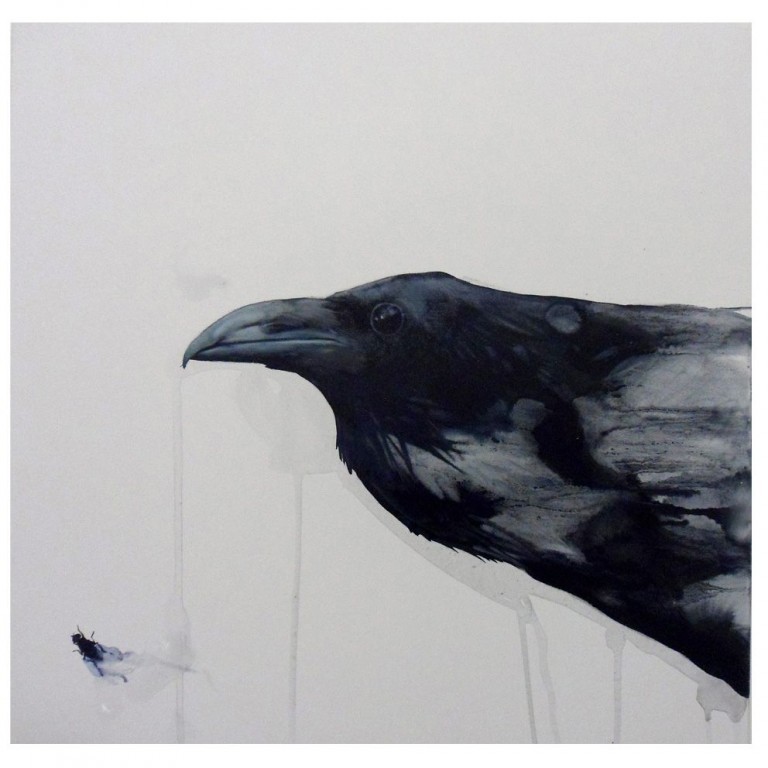 Crow 1