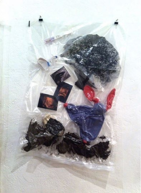 Neda Shafiee Moghaddam 011