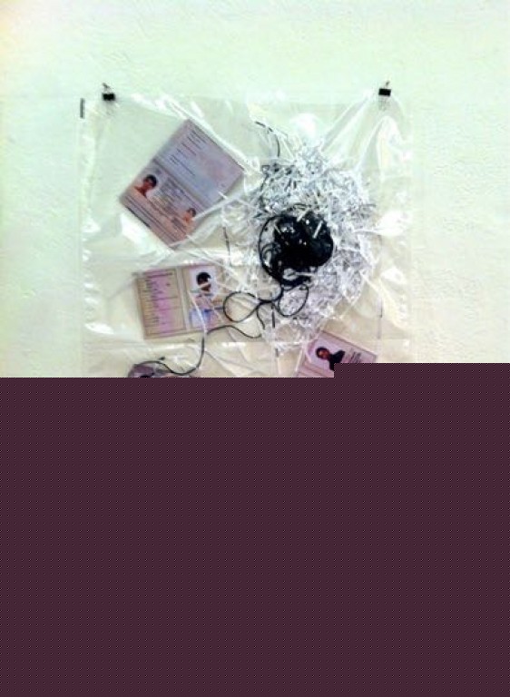 Neda Shafiee Moghaddam 012